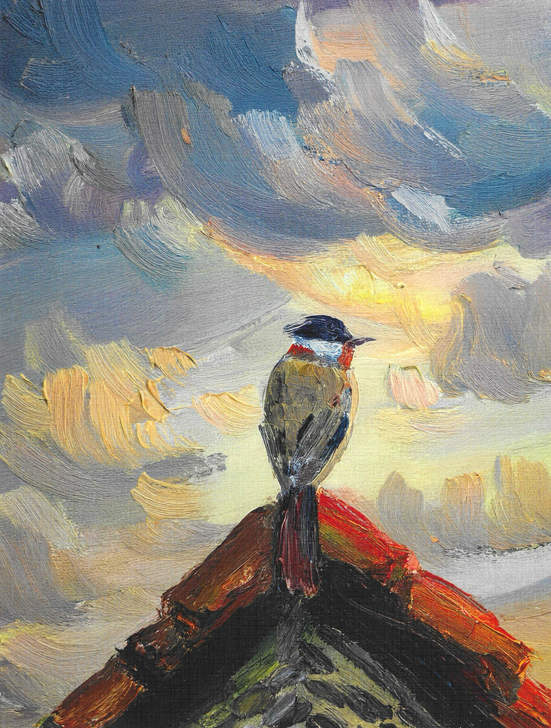 Above the Storm — solo bird on rooftop